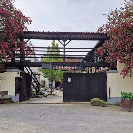 Moderne Ferienwohnung Black Beauty Auf Idyllischem Reiterhof Naehe Burg Eltz Münstermaifeld Extérieur photo