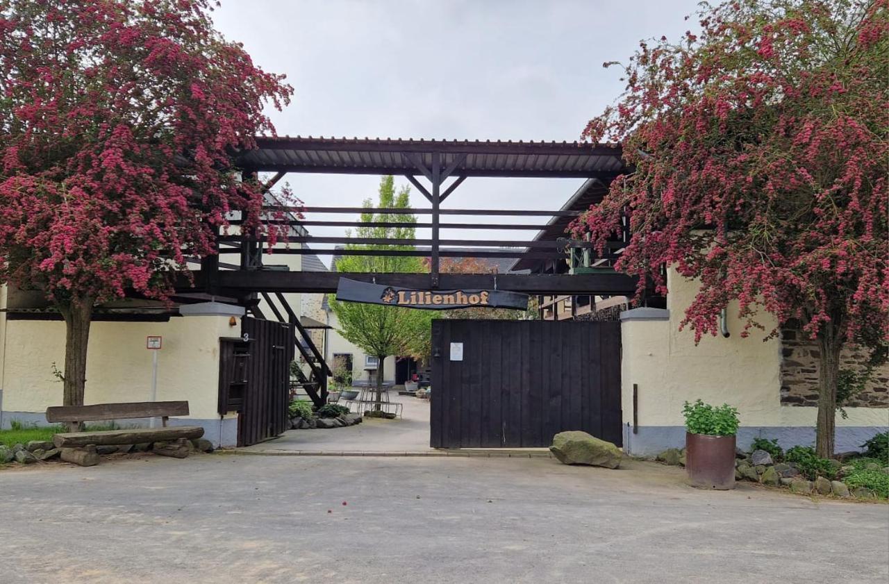 Moderne Ferienwohnung Black Beauty Auf Idyllischem Reiterhof Naehe Burg Eltz Münstermaifeld Extérieur photo